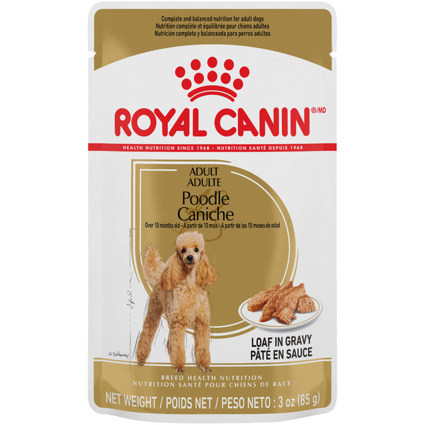 Royal Canin CANICHE pâté en sauce – nourriture en sachet pour chiens