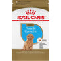 Royal Canin CHIOT CANICHE – nourriture sèche pour chiots