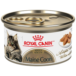 Royal Canin Feline Breed Nutrition Maine Coon Thin Slices in Gravy Adult Wet Cat Food Can