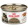 Royal Canin Feline Breed Nutrition Maine Coon Thin Slices in Gravy Adult Wet Cat Food Can