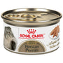 Royal Canin Feline Breed Nutrition Persian Adult Canned Wet Cat Food