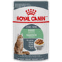 Royal Canin Feline Care Nutrition Digest Sensitive Chucks Gravy Pouch Wet Cat Food