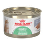 Royal Canin Feline Care Nutrition Digest Sensitive Loaf in Sauce Wet Cat Food