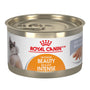 Royal Canin Feline Care Nutrition Intense Beauty Loaf in Sauce Wet Cat Food