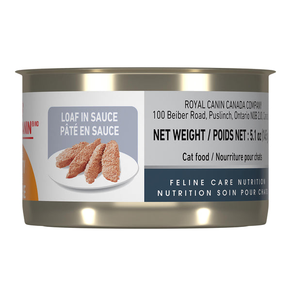 Royal Canin Feline Care Nutrition Intense Beauty Loaf in Sauce Wet Cat Food