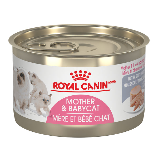 Royal Canin Feline Health Nutrition Mother & Baby Ultra Soft Mousse Canned Wet Cat Food