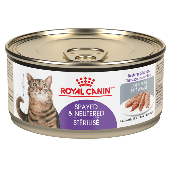 Royal Canin Feline Health Nutrition Spayed Neutered Loaf in Sauce Wet Cat Food (CA)