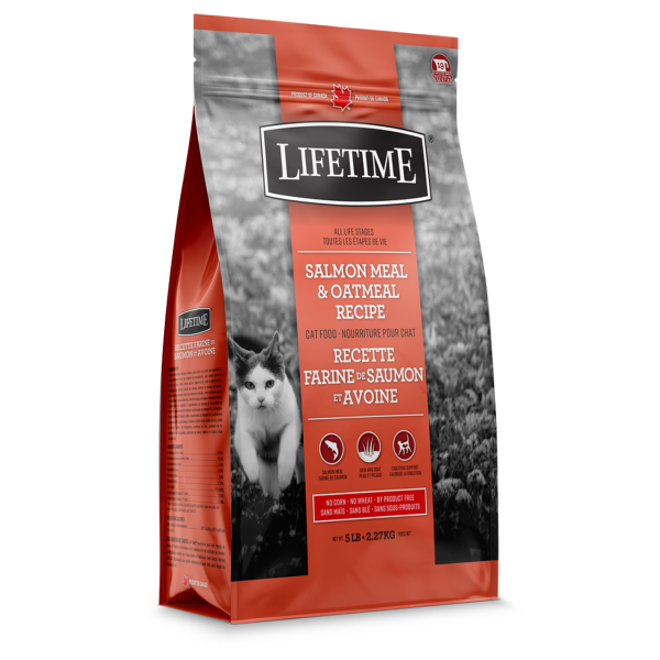 Lifetime ALS Salmon & Oatmeal Recipe Dry Cat Food