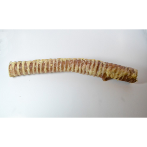 Home Range/Open Range Beef Trachea Bully Stick Dog Treats, 12-in