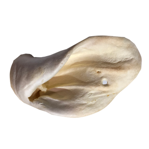 Home Range/Open Range Cow Ear Dog Treats, Large