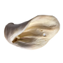 Home Range/Open Range Cow Ear Dog Treats, Large