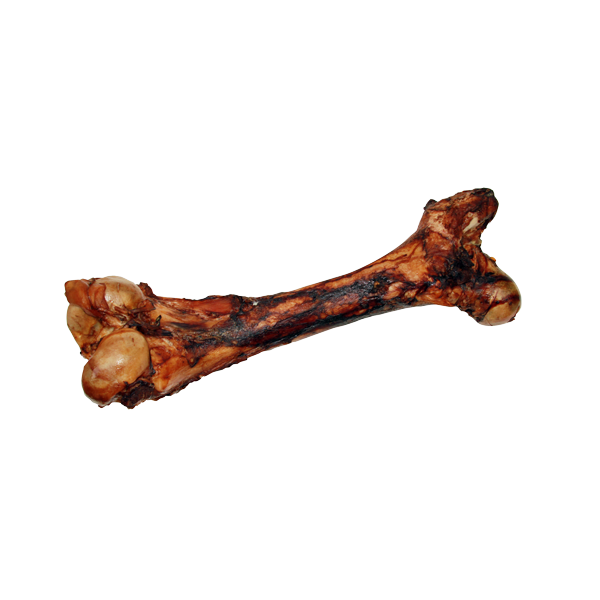 Home Range/Open Range Cured Dino Bone Bully Stick Dog Treats