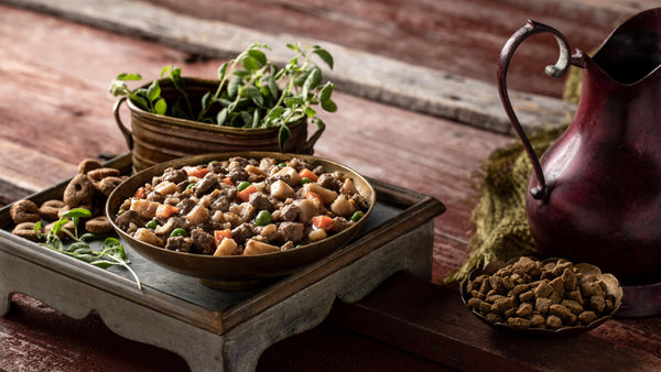 Fromm Family Recipes Frommbalaya Beef, Vegetable & Rice Stew Canned Dog Food