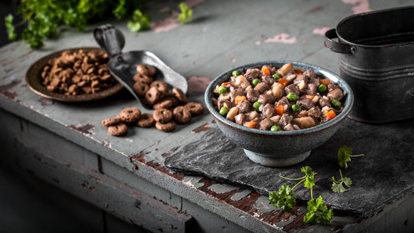 Fromm Family Recipes Frommbalaya Lamb, Vegetable & Rice Stew Canned Dog Food