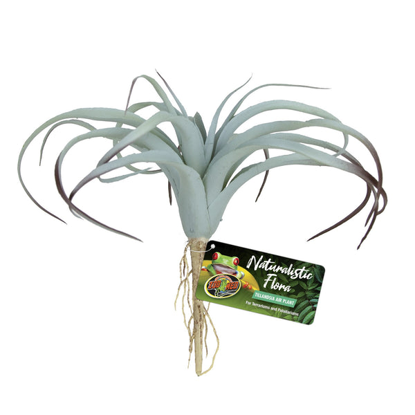 Zoo Med Naturalistic Flora Tillandsia Air Plant for Terrariums