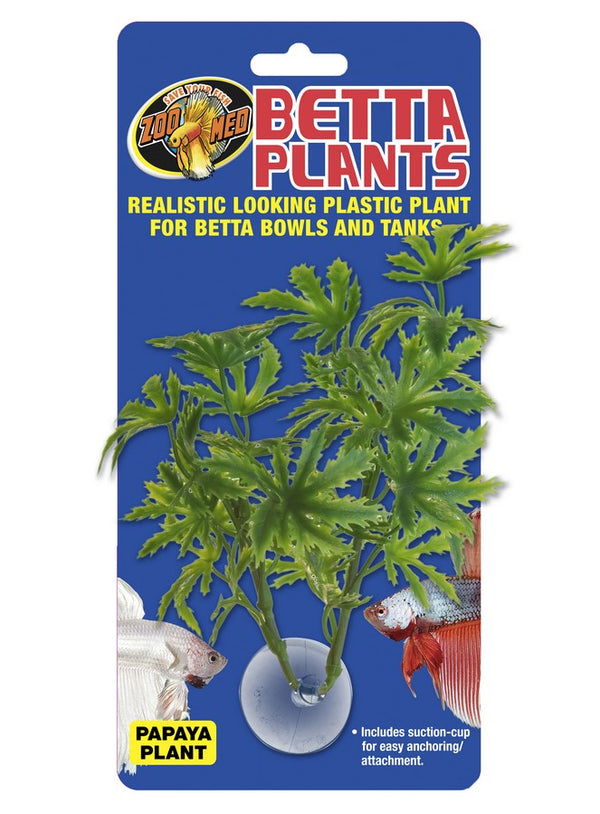 Zoo Med Betta Plants Papaya Plant for Aquariums