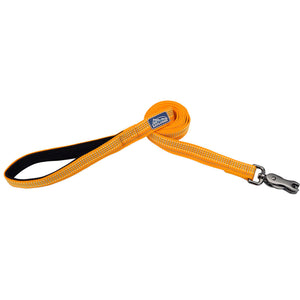 K9 Explorer Brights Laisse réfléchissante pour chien, Désert