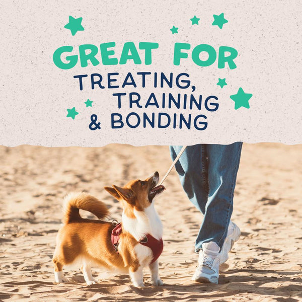 Natural Balance Rewards Crunchy Biscuits with Real Chicken Dog Treats