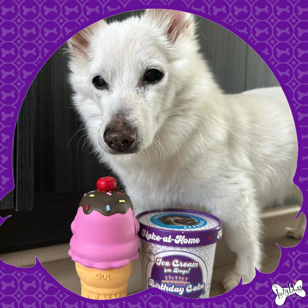 The Lazy Dog Cookie Co. Mélange maison pour crème glacée à la vanille Friandise pour chiens