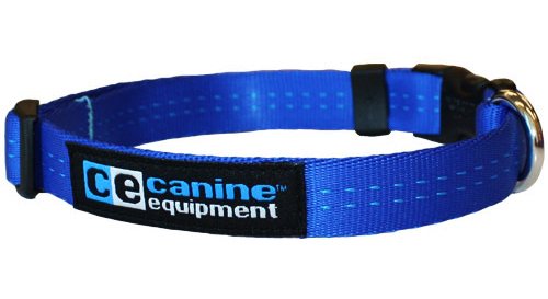 RC Pets Canine Equipment Collier utilitaire Technika pour chien, Bleu