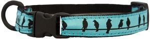 RC Pets Kitty Breakaway Cat Collar, Birds on a Wire