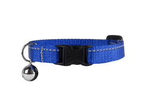 RC Pets Primary Kitty Breakaway Cat Collar, Royal Blue