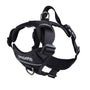 RC Pets Harnais de contrôle Momentum, Noir
