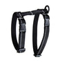 RC Pets Primary Kitty Cat Harness, Black