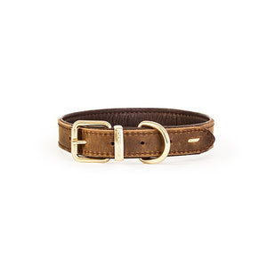 EzyDog Oxford Leather Classic Dog Collar, Brown