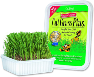 Cat A'bout Herbe à chat Plus pour chats.