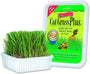 Cat A'bout Cat Grass Plus for Cats