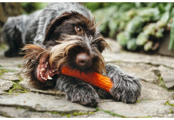 P.L.A.Y. Novaflex Nova Stick Dog Fetch Toy