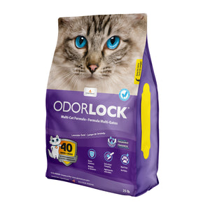Intersand Odorlock Litière pour chat parfumée à la lavande