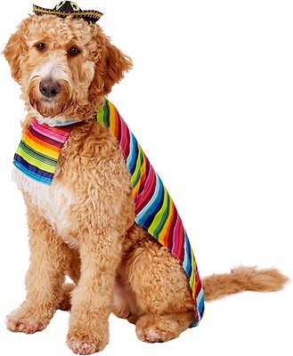 Rubie's Costume Company Mexican Dog & Cat Serape