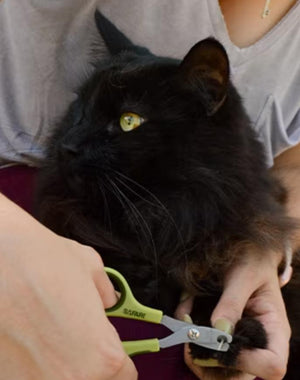 Safari Deluxe Nail Trimmer for Cats