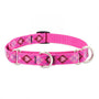 Lupine Pet Original Designs Martingale Dog Collar, Puppy Love