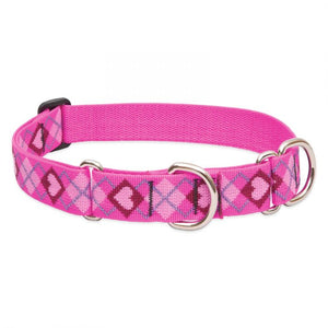 Lupine Pet Original Designs Martingale Dog Collar, Puppy Love