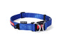 EzyDog Double Up Collier pour chien, bleu