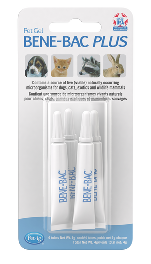 PetAG Bene-Bac Bacteria Gel, 1g, 4-pack