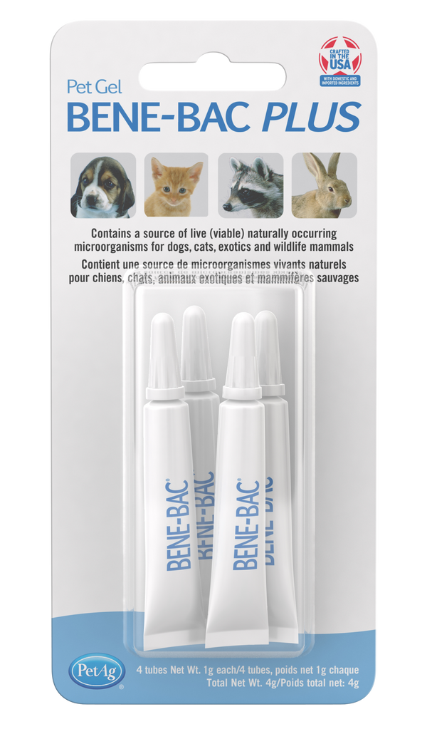 PetAG Bene-Bac Bacteria Gel, 1g, 4-pack