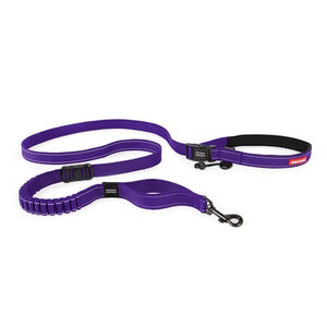 EzyDog Road Runner Dog Leash, Purple, 7-ft