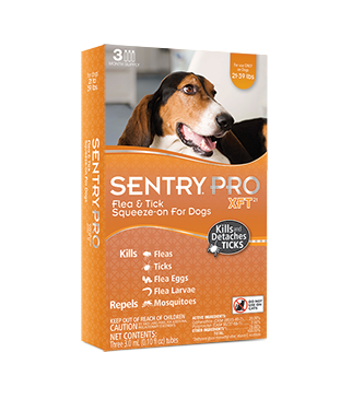 Sentry Pro XFT Antipuce et antitiques à appliquer pour chiens
