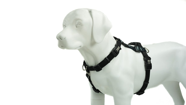 Blue-9 Harnais pour chien Balance à boucle de cou, Noir