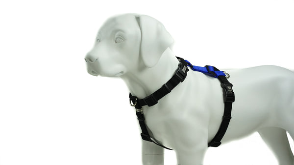 Blue-9 Balance Buckle-Neck Dog Harness, Blue