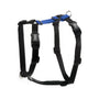 Blue-9 Balance Buckle-Neck Dog Harness, Blue