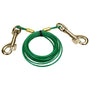 Titan Câble d'attache pour chiot, 12 pi