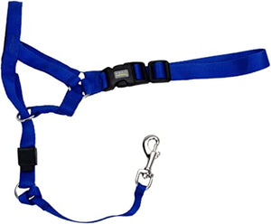 Coastal Walk 'n Train! Dog Head Halter, Blue