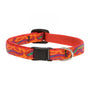 Lupine Pet Original Designs Collier de sécurité pour chats, Go Go Gecko, 1/2 po x 8-12 po