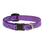 Lupine Pet Original Designs Safety Collar for Cats, Jelly Roll, 1/2-in x 8-12-in