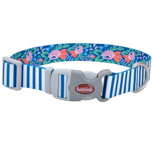 Sublime Collier Ajustable pour Chien, Rayure Sarcelle Fleur